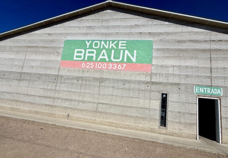 Imagen 06 11 25 a las 9.03 a.m 768x533